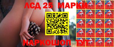 скорость Заводоуковск
