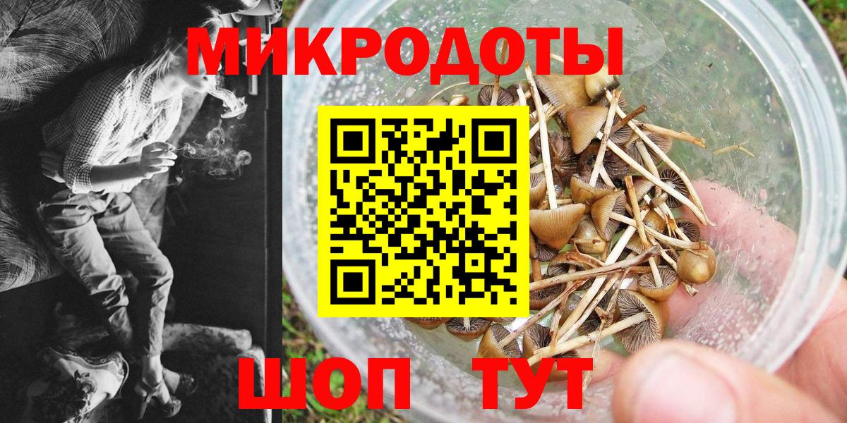 Мыски  Псилоцибиновые грибы Psilocybine cubensis  Вход с VPN 